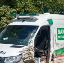 Ambulancia del SAME chocó y mató a un burrito: hay dos trabajadores heridos