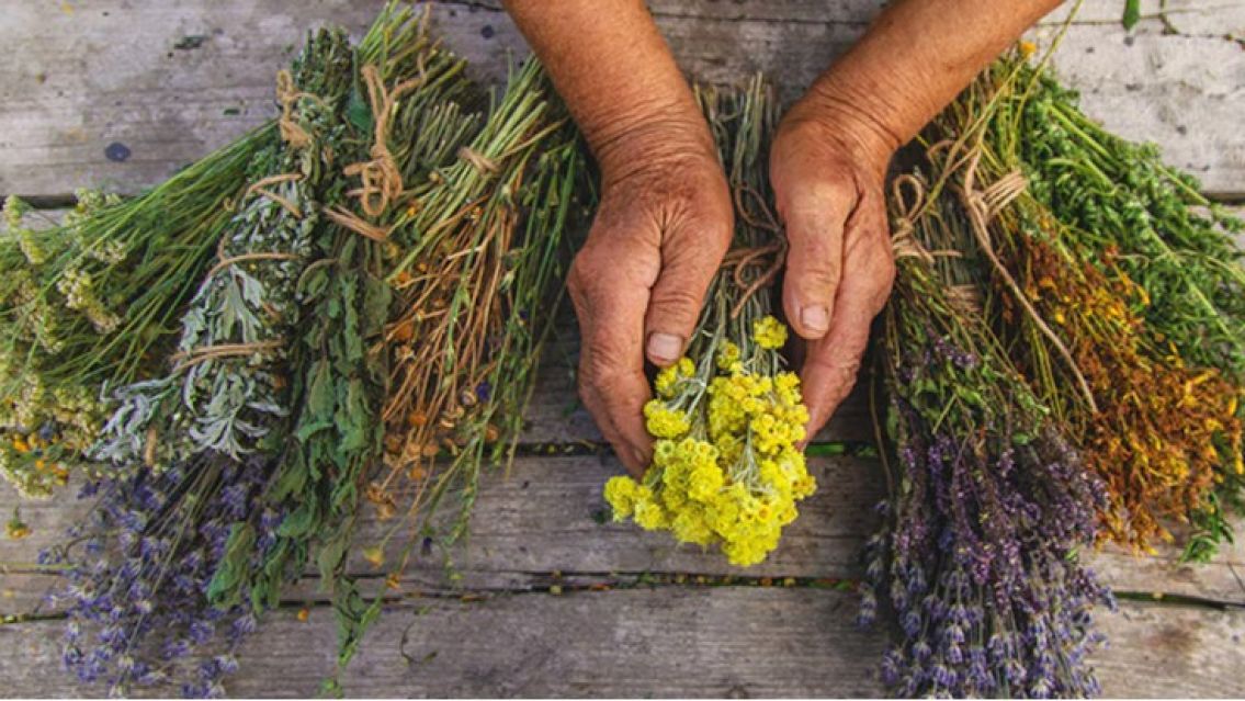 El yuyo que hay que ponerle al mate para aliviar la tos y el resfr�o