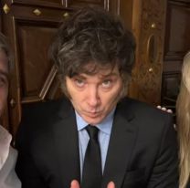 La reacción de Milei después de que Diputados aprobara el DNU que habilita el acuerdo con el FMI