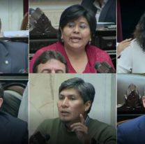 Tres a favor y tres en contra, así votaron los diputados jujeños el Acuerdo con el FMI