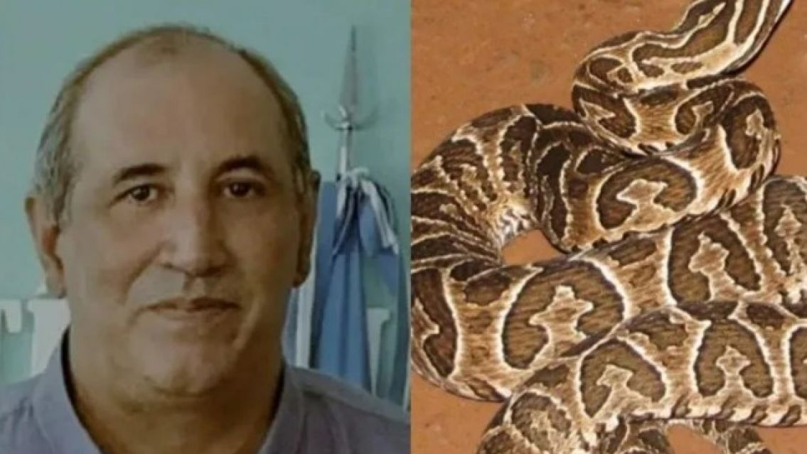 Murió conocido concejal: lo picó una serpiente yarará mientras cortaba el pasto