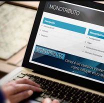 Dieron de baja a 400.000 monotributistas sociales: quiénes se quedaron afuera