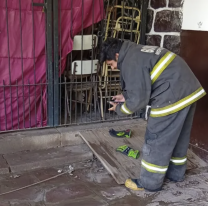 Abandono total en una escuela de Monterrico, pudo haber sido una tragedia