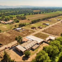 Encontraron a una mujer muerta en un camino de Perico