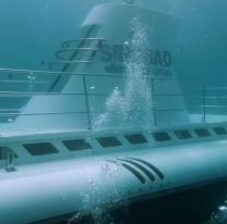 Mar Rojo: 6 muertos tras trágico accidente de submarino turístico