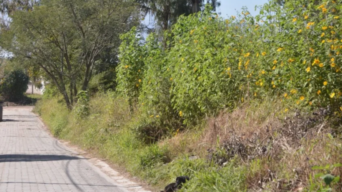 Vecinos atraparon a un hombre que trató de secuestrar a una nena: "Ya sé dónde viven"