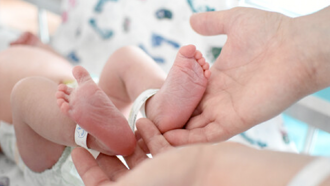 ¿Jujuy se queda sin chicos? Drástica caída de la natalidad en la provincia