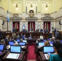 La próxima semana el Senado debatirá por Ficha Limpia
