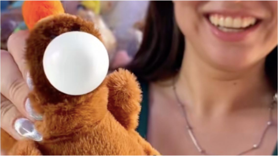 Furor por el capibara boliviano: cuánto cuestan y qué los hace diferentes