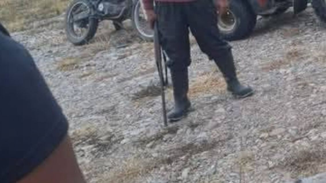 Indignaci�n en Jujuy: denuncian que arrendatarios mataron a escopetazos a una perrita