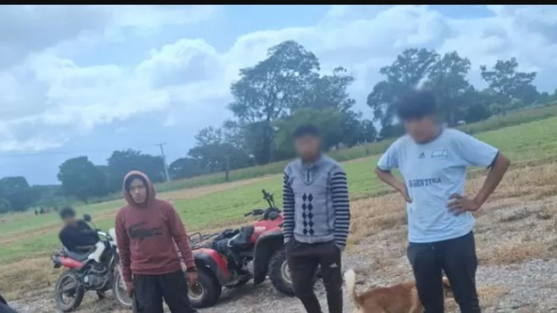 Crueldad animal en Los Alisos: detuvieron a un joven por matar a un perro de un disparo