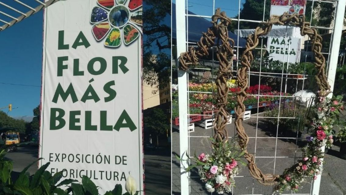 Talleres, plantas y m�sica: llega "La Flor M�s Bella" a Jujuy