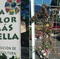 Talleres, plantas y música: llega "La Flor Más Bella" a Jujuy