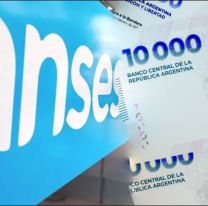 ANSES entregar&aacute; un bono de $500.000