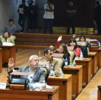 Legisladores jujeños aprobaron el uso de terrenos para obras en la Ruta 66