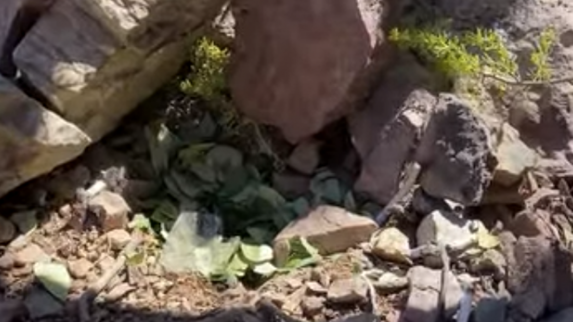 Virgen de Punta Corral: ¿por qué chayan antes de peregrinar?