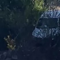 Jujeña muy machada bajó por las escaleras de Alto Gorriti en su auto