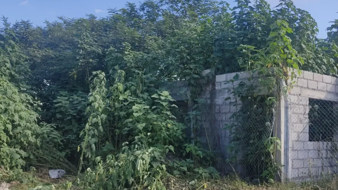 Vecinos del barrio N�stor Kirchner denuncian abandono y basura en Alto Comedero