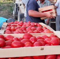 Terrible muerte en Jujuy: se&ntilde;ora muere cargando tomates 
