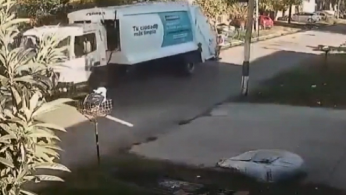 Barrendera muri� tras ser atropellada por un cami�n recolector de residuos