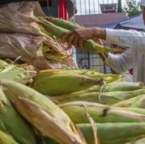 Semana Santa en Jujuy: el choclo es el m&aacute;s buscado &iquest;cu&aacute;nto cuesta?