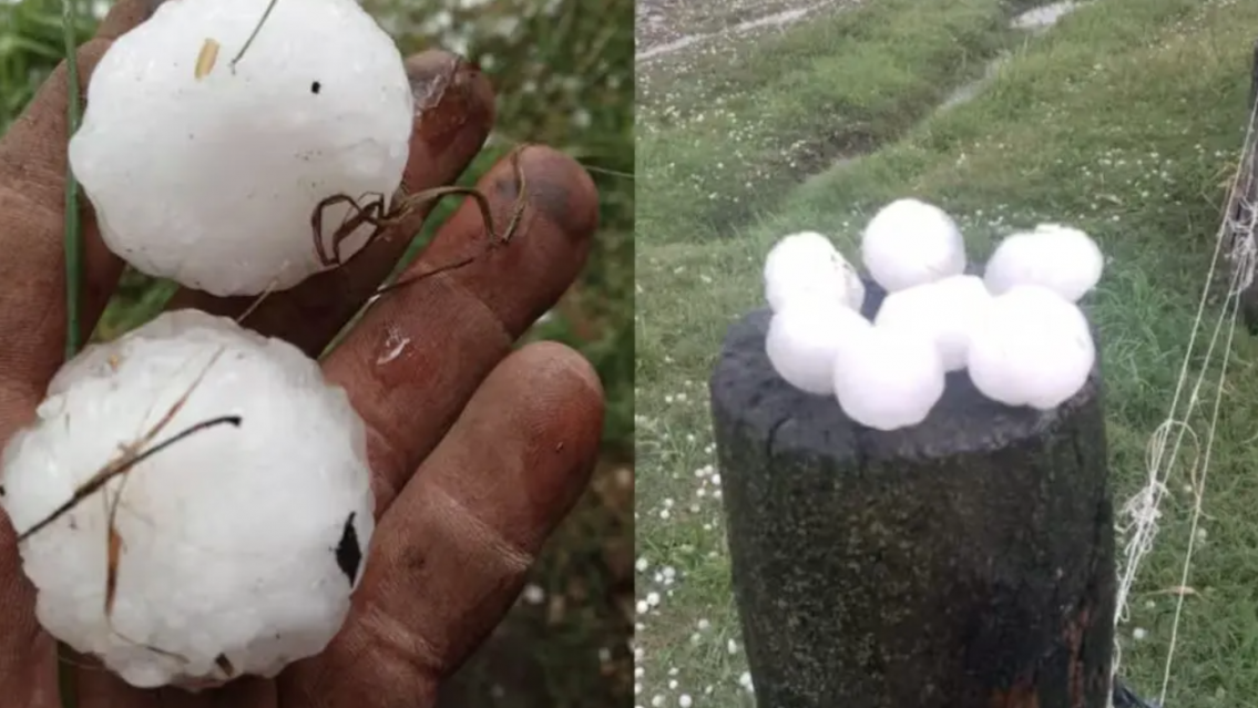 Una tormenta de granizo sorprendió a un pueblito: varios animales muertos