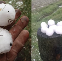 Una tormenta de granizo sorprendió a un pueblito: varios animales muertos