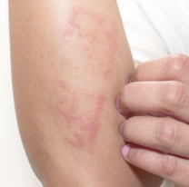 Murió jujeñita de 8 años y los adultos "se tiran la pelota"