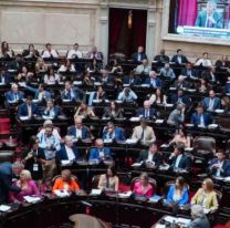 Diputados sesiona en homenaje a Francisco, tras postergar la interpelación a Francos por Libra