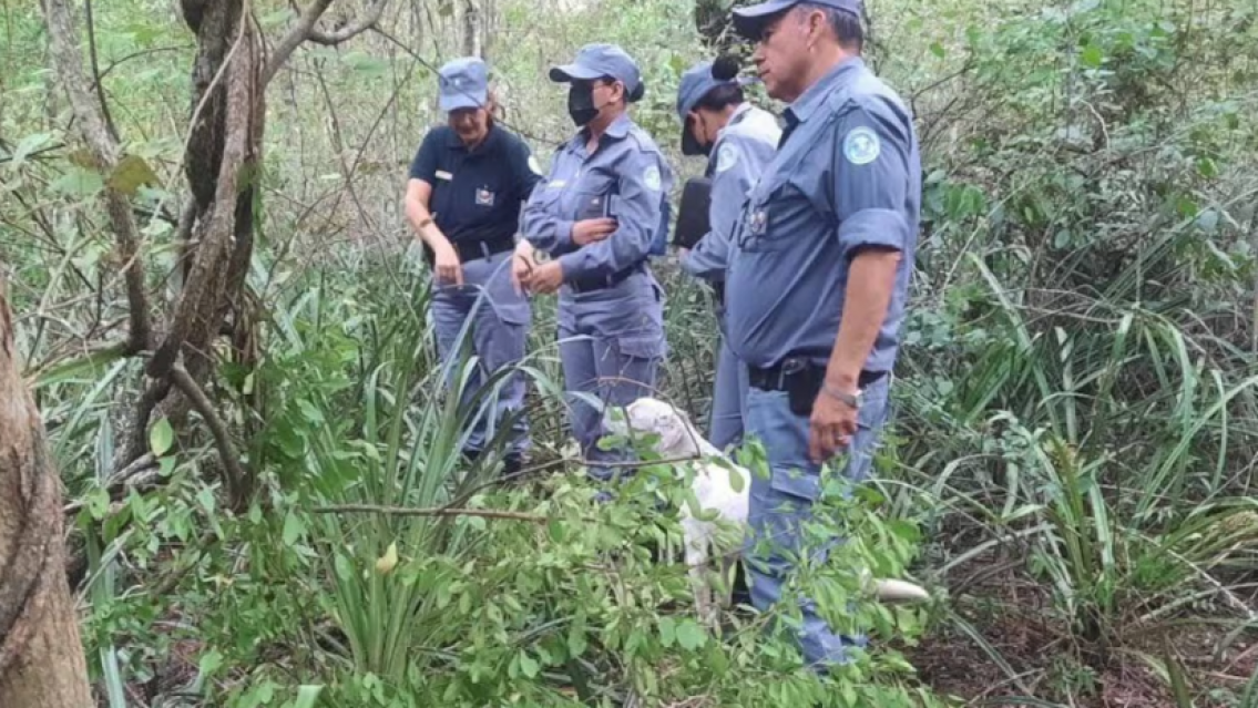 Conmoción en Formosa, encontraron enterrada a una nena y apresaron a sus padres