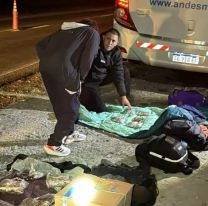 &Oacute;mnibus que parti&oacute; de Jujuy fue detenido en Tucum&aacute;n con marihuana y celulares de contrabando