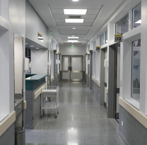 Conmoción y misterio en el hospital: "vieron caer un cuerpo desde el piso 14"