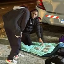Colectivo que salió de Jujuy llevaba 2 kg. de marihuana y 220 celulares