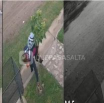 Aberrante: madre le ense&ntilde;a a su hija a robar y qued&oacute; todo grabado