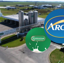 Arcor se queda con el 51% de La Serenísima: una compra millonaria