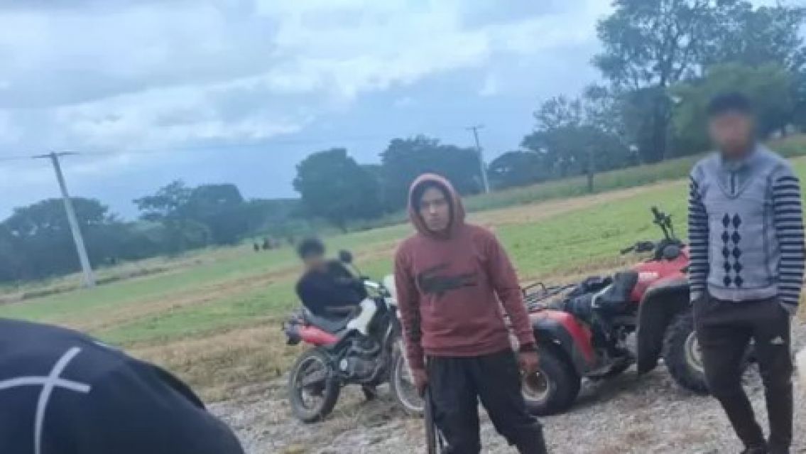 Crueldad animal en Los Alisos: joven que mató a una perra irá a juicio abreviado