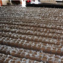 Avanzan los preparativos para las elecciones del 11 de Mayo