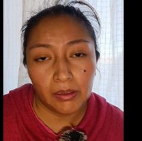 Escándalo en Humahuaca: acusan a la Municipalidad de engañar a un nene para llevarse a su perro