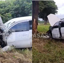  Muri&oacute; reconocido empresario norte&ntilde;o tras chocar con un toro en Ruta 50