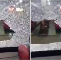 Reventaron los vidrios de los colectivos que no se sumaron al paro