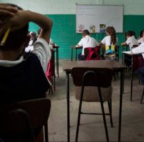 Pruebas Aprender: solo el 45% de los alumnos de tercer grado comprenden un texto