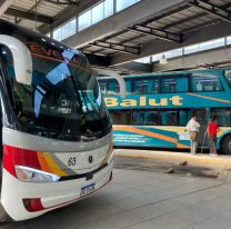 Colectivos gratis en Jujuy para ir votar: ¿Cómo y cuándo?