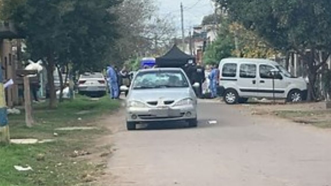 Horror en barrio: una abuelita fue comida por sus 11 perros