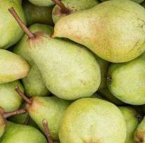 Argentina compr&oacute; m&aacute;s de 17 toneladas de peras a China