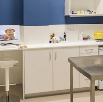 Profesora murió estrangulada y una mujer veterinaria confesó el crimen