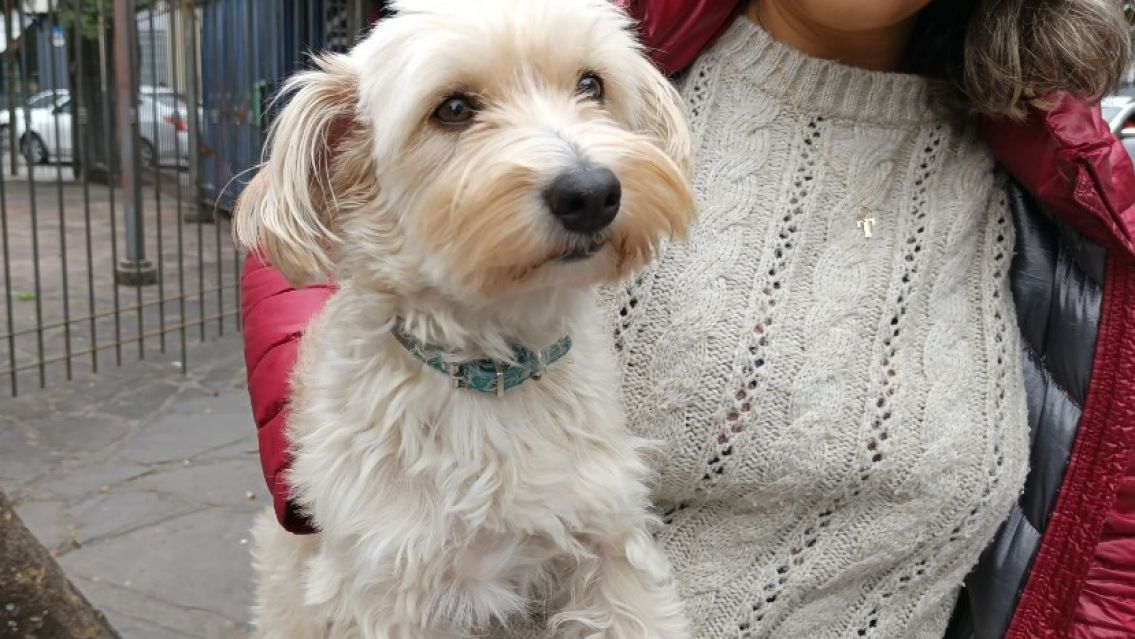 Jujeña llevó a su fiel compañera a la escuela para votar