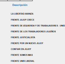 El oficialismo gana en Jujuy según los primeros datos oficiales