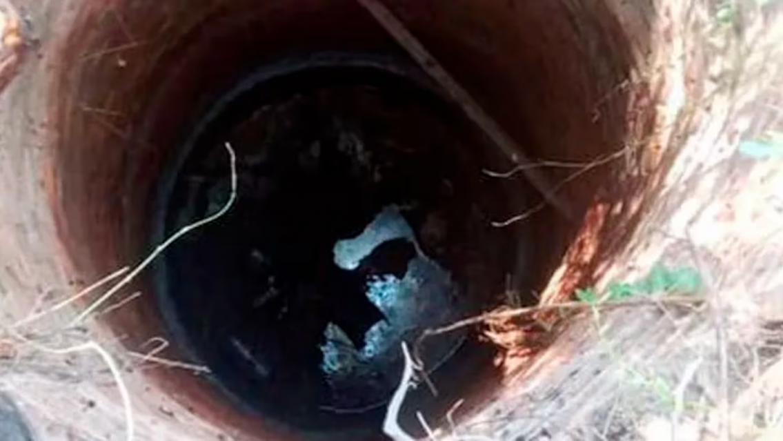 Hombre discutió con su pareja y la tiró a un pozo