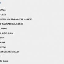 Ocho frentes políticos no superaron el 5% y quedaron fuera de la Legislatura jujeña