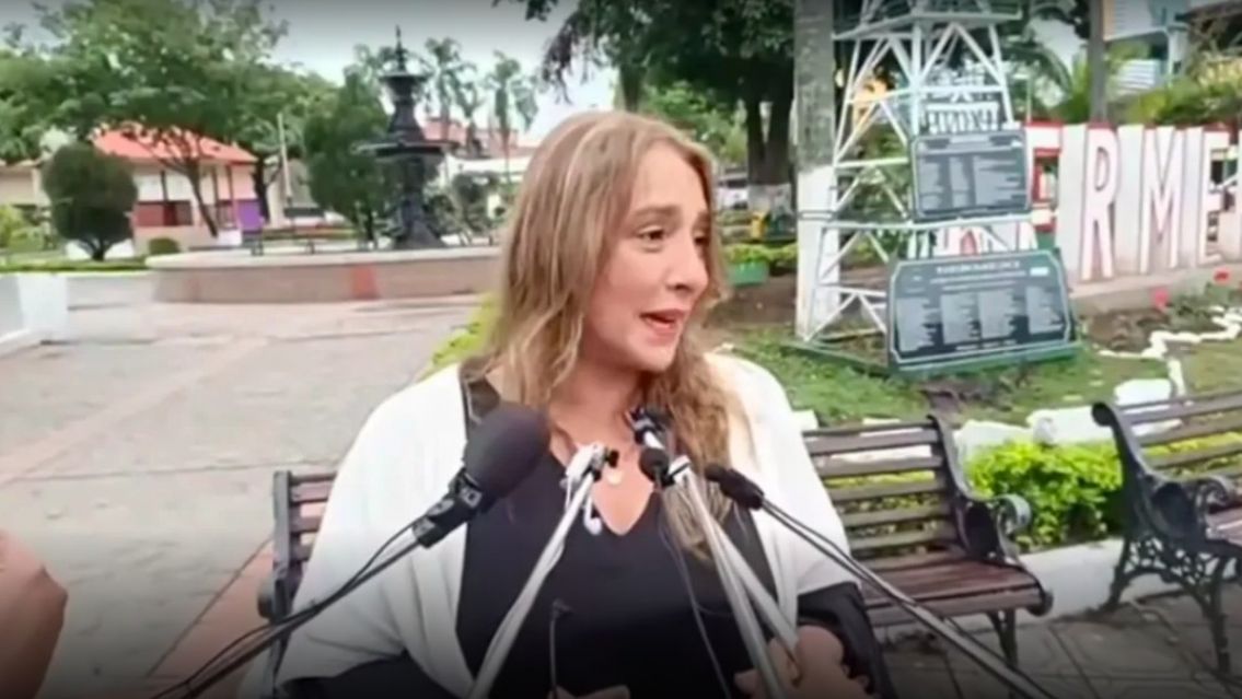 La diputada que promocionó la atención a bolivianos en hospitales quedó afuera de la Legislatura